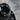 Crow… the language of dementia tightens its grip