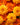 Marigold